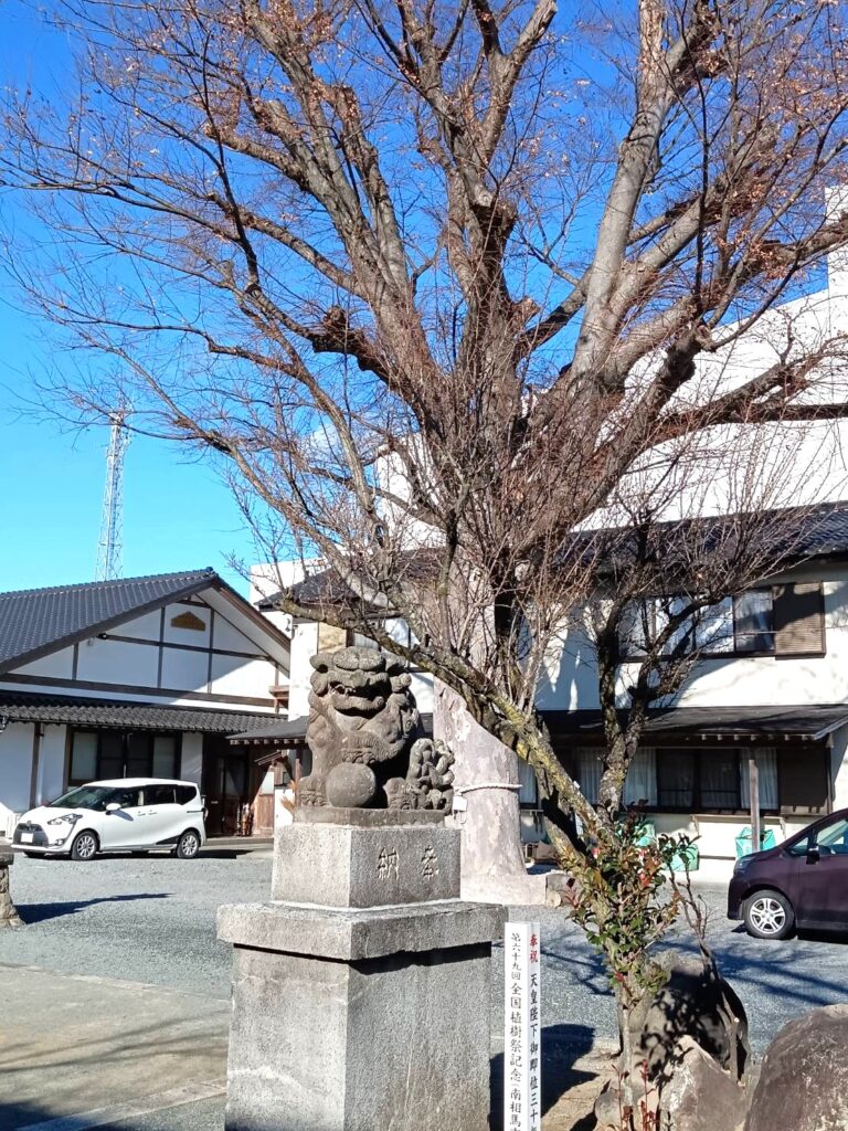 三嶋神社に咲いている木
